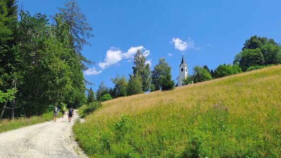Foto von Plaimer entlang der Tour