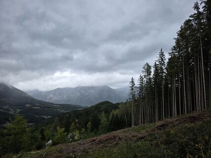 Photo de Michael Kammerer 2 le long du parcours
