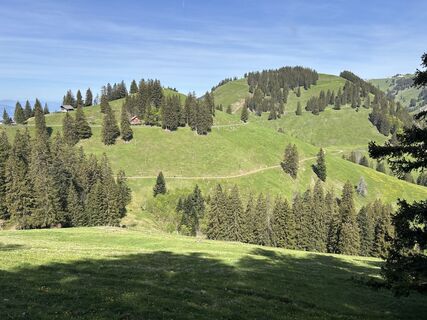Fotografija s spletne strani Ewald Zweifel na poti