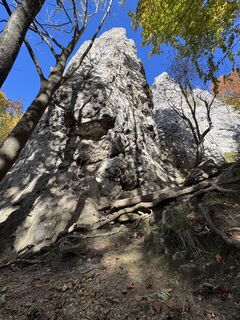 Photo de brosensteiner le long du parcours