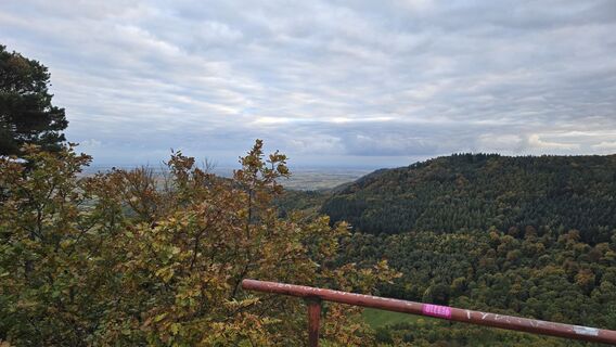 Foto von Katja Senkel entlang der Tour