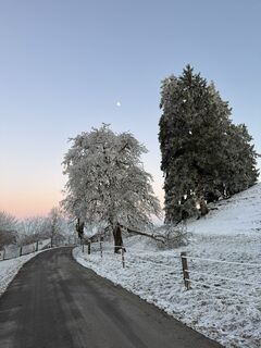Zdjęcie z Raphael Häfliger 1 wzdłuż trasy