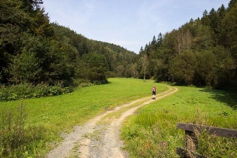 Willersdorfer Schlucht