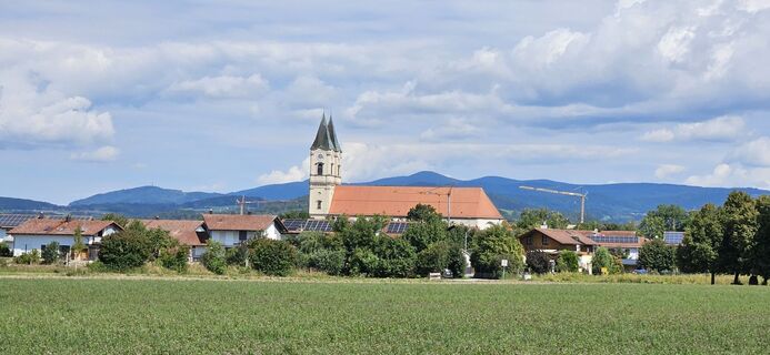 Foto från garrincha under resans gång