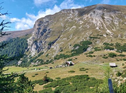 Foto från Conny Deutsch under resans gång