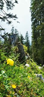 Foto von Klaus Lehner entlang der Tour