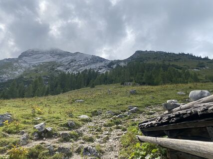 Foto da petermarx6 lungo il tour