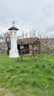 Fotografija s spletne strani ROSARIO FERRAZ na poti