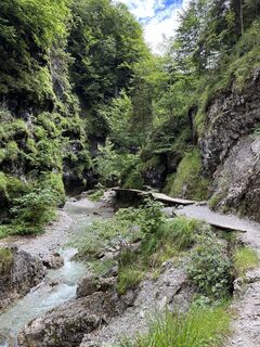 Foto von Veronika Schulte entlang der Tour