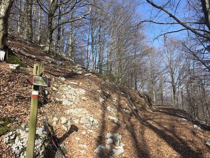 Fotografia z euterpe42 na trase