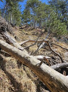 Fotografia z Florian Dürnegger na trase