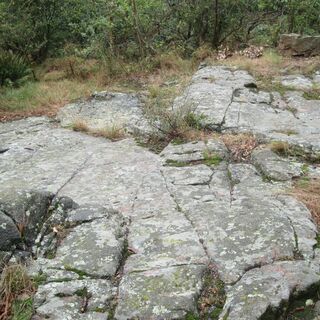 „Nationales Geotop“ Gletscherschliffe am Kleinen Berg Hohburg