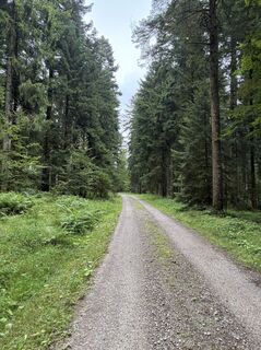 Foto von Kristina  1 entlang der Tour
