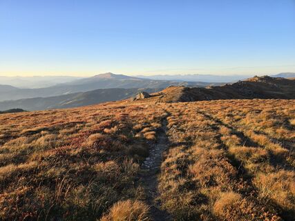 Fotografia z TwilightTea na trase