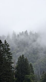 Fotografija s spletne strani Klaus Lehner na poti