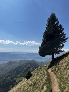 Fotografie z Gašper Novak 1 na trase