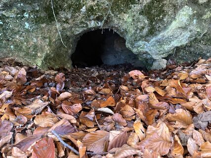 Photo de Ernestine Wurzinger le long du parcours
