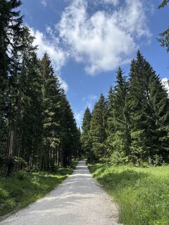 Foto von Heinz Sperl entlang der Tour