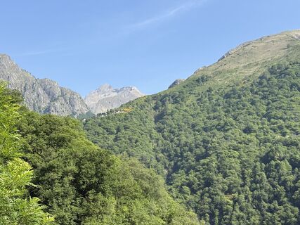 Fotografija s spletne strani LuckyAlfredo na poti