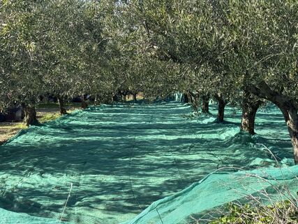 Fotografia z Wilhelm na trase