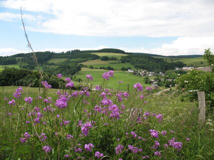 Medebacher Bergweg - Rundwanderung durch Medebach und seine Dörfer