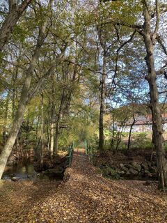 Photo de Biernase1 le long du parcours