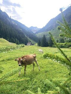 Foto von Eric Grochau entlang der Tour