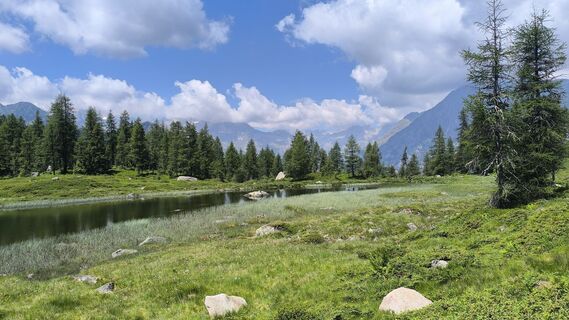 Fotografija s spletne strani Roberto Branzanti na poti