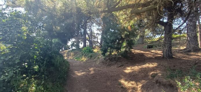Foto de Marianne Peichl a lo largo del recorrido