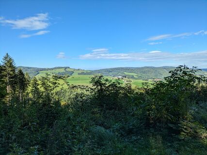 Foto fra Edero undervejs på turen