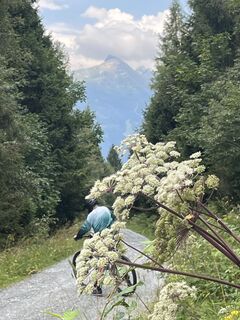 Fotografie z Freund Reiter na trase