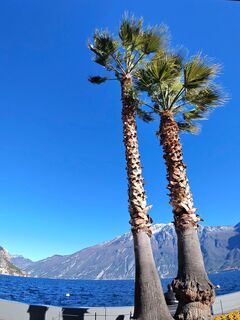 Foto von Dr. Natascha Binder entlang der Tour