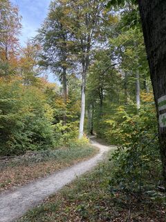 Foto de Péter Kocsis 1 a lo largo del recorrido