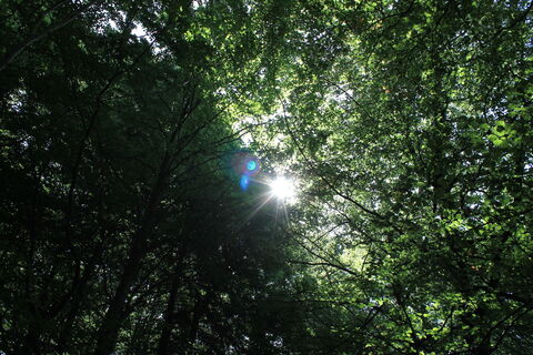 IMG_0818.JPG