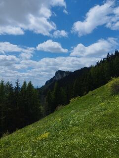 Foto von Mario Krenn 2 entlang der Tour