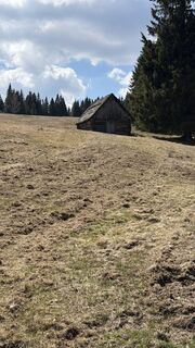Photo de Zsolt Kozsla le long du parcours