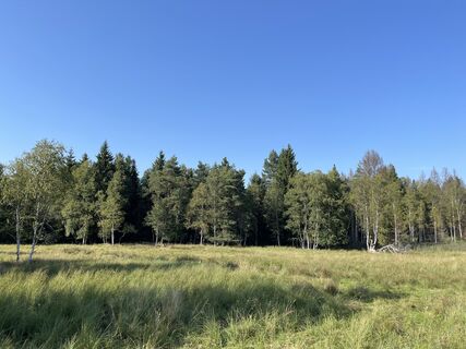 Fotografia z Robert Rettig na trase