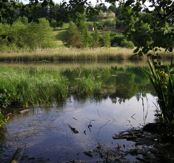 Rauschelesee