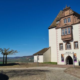 Museum Schloss Fürstenberg