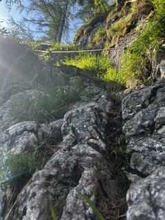 Foto von Carola Krems entlang der Tour