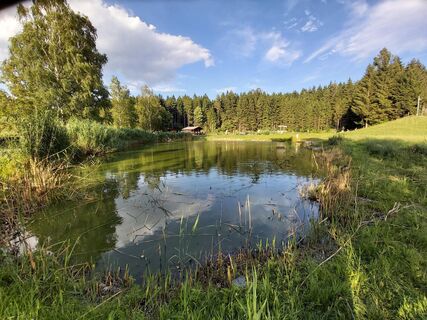 Fischteich Passail, Naturpark Almenland in der Oststeiermark