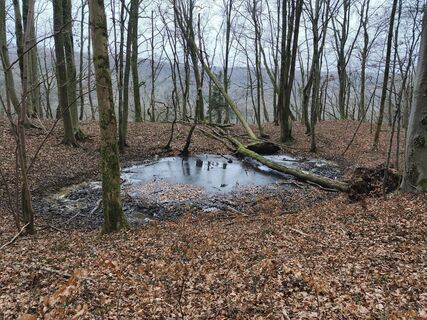 Foto von Kloot entlang der Tour