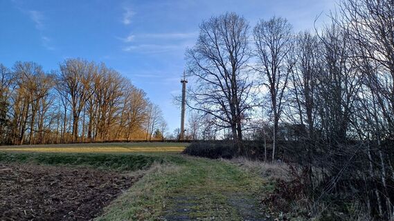 Fotografia z Laufnix-Kallixus na trase