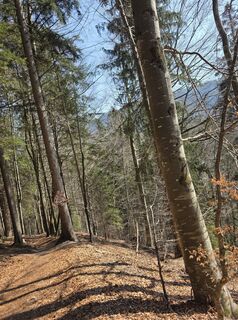 Foto von Michael Ruemmele entlang der Tour