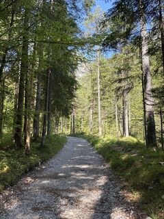 Foto von Vivien Rubóczki entlang der Tour