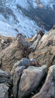 Fotografia z jakob 7 na trase