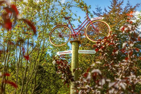 Wegweiser Fahrrad zur Diemelquelle