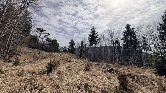 Foto von wernhard entlang der Tour