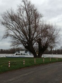 Photo from Schaengemann along the tour