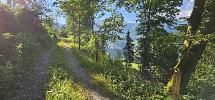Foto von Michael Ganswind entlang der Tour